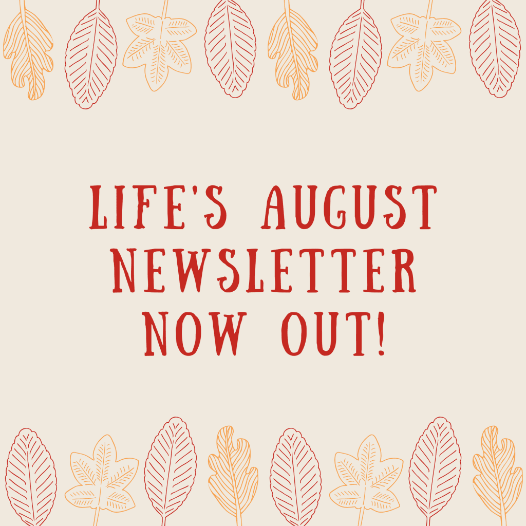 August LIFETimes Letter